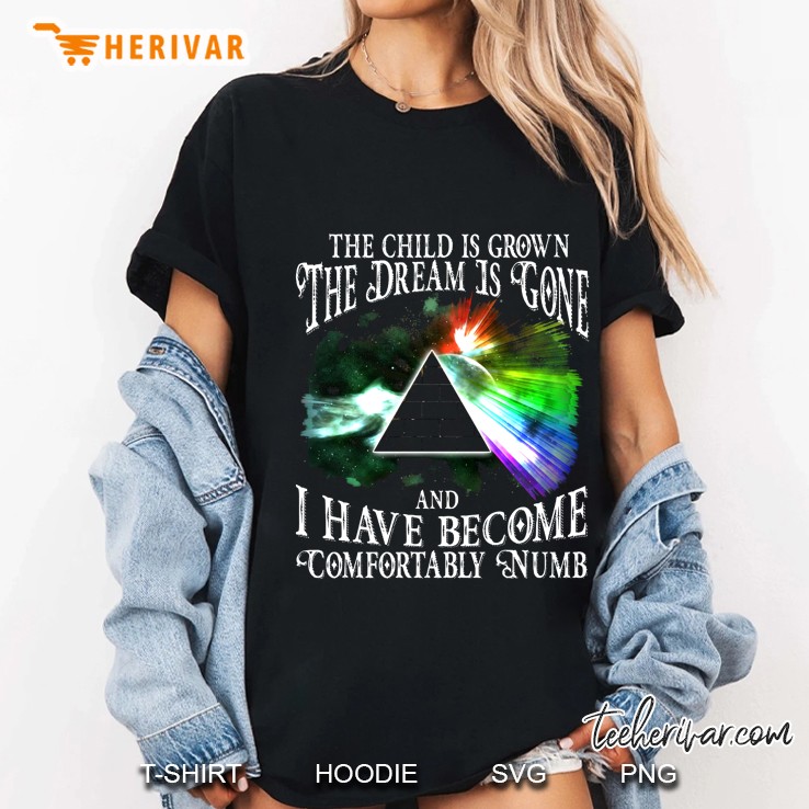 The Child Is Grown The Dream Is Gone And I Have Become Comfortably Numb Pink Floyd Version Ladies Tee