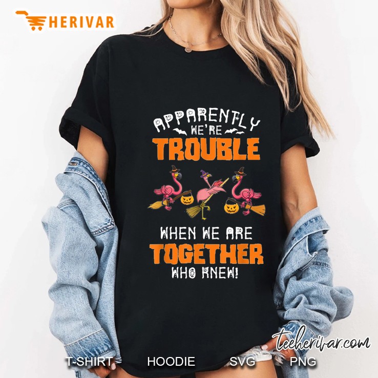 Apparently We're Trouble When We Are Together Who Knew Flamingo Witch Version Hoodie