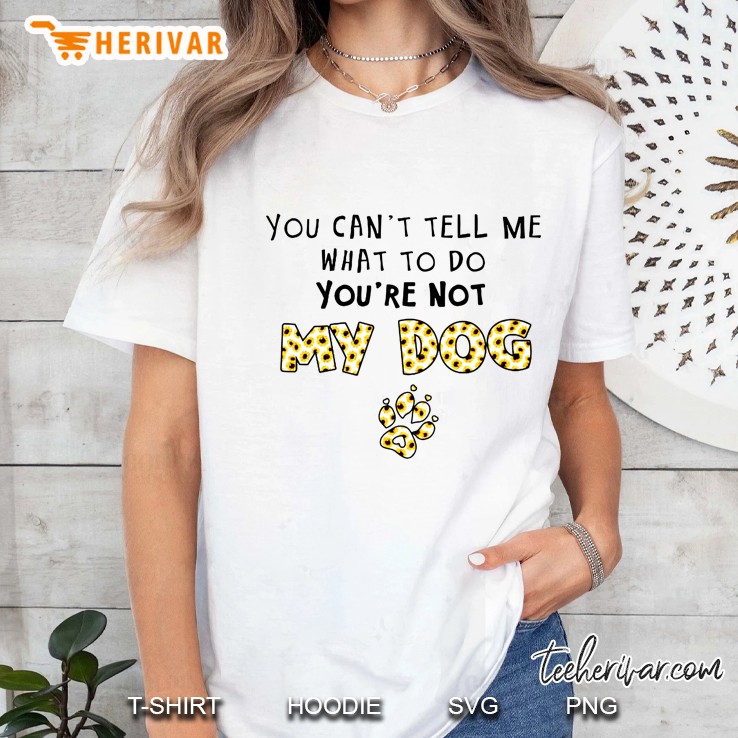 You Can