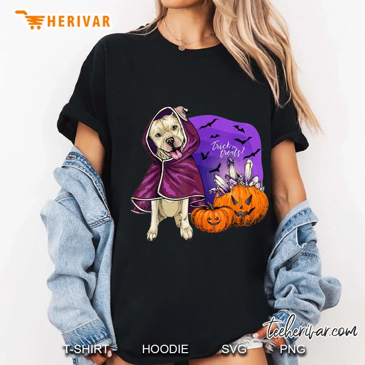 Trick Or Treats Pitbull Wearing Coat And Pumpkin Halloween Version Ladies Tee