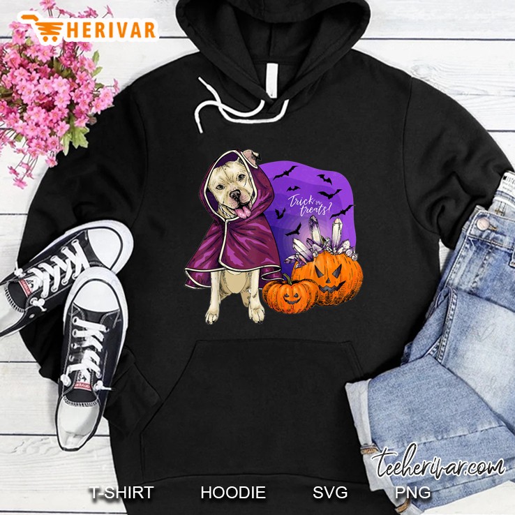 Trick Or Treats Pitbull Wearing Coat And Pumpkin Halloween Version Hoodie