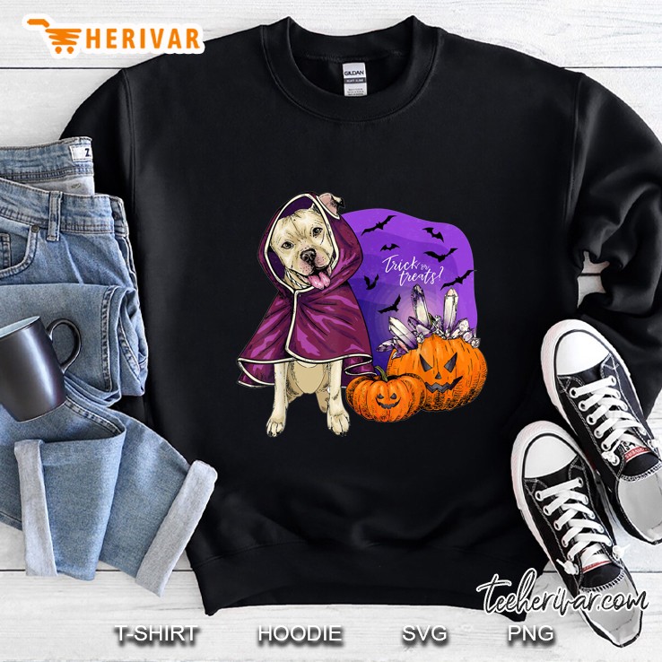 Trick Or Treats Pitbull Wearing Coat And Pumpkin Halloween Version Sweatshirt