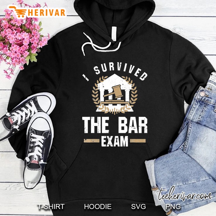 I Survived The Bar Exam Hoodie