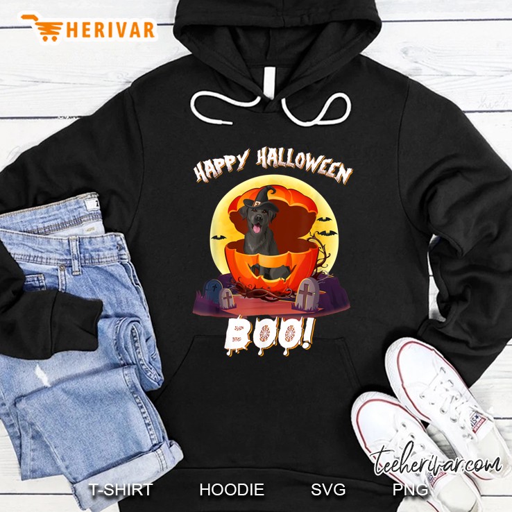 Happy Halloween Boo Dog Witch Hoodie