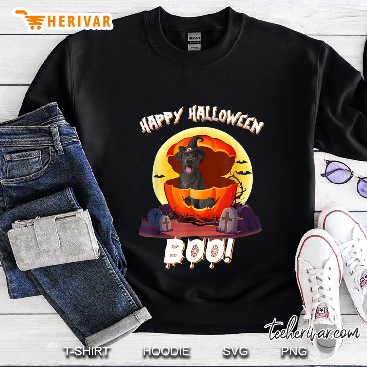 Happy Halloween Boo Dog Witch Sweatshirt
