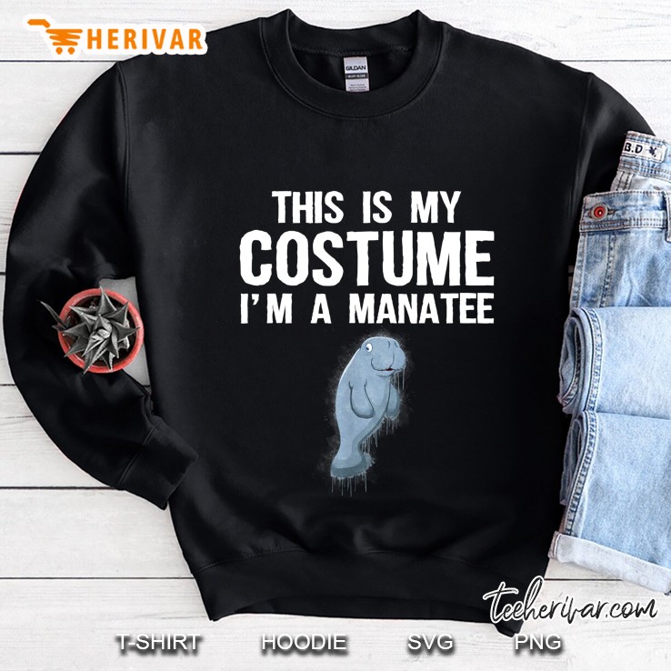 This Is My Costume I