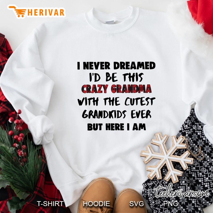 I Never Dreamed I