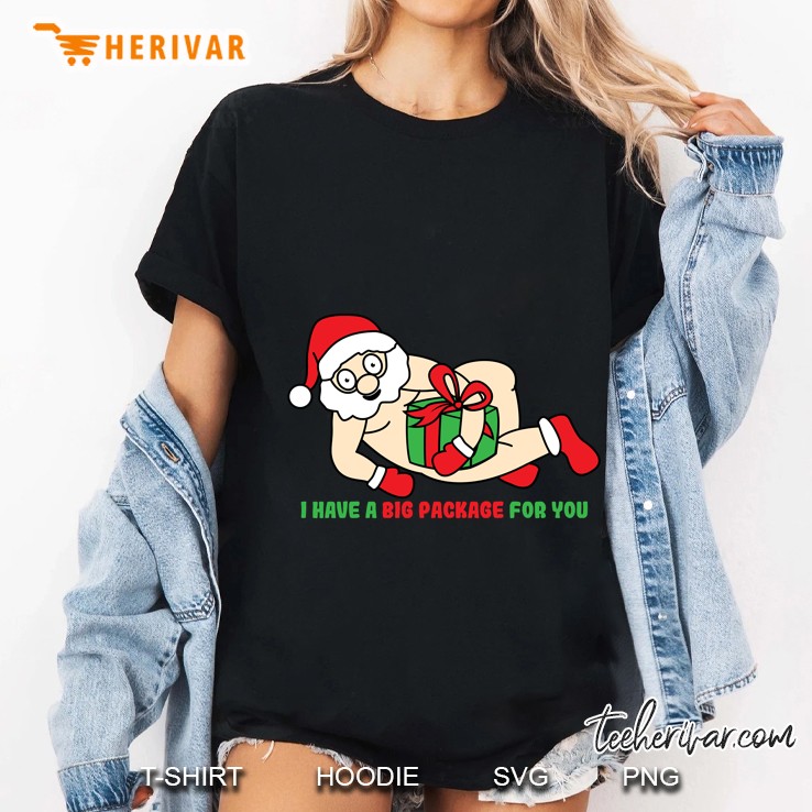 I Have A Big Package For You Naughty Santa Christmas Ladies Tee