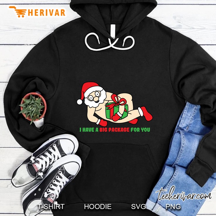 I Have A Big Package For You Naughty Santa Christmas Hoodie