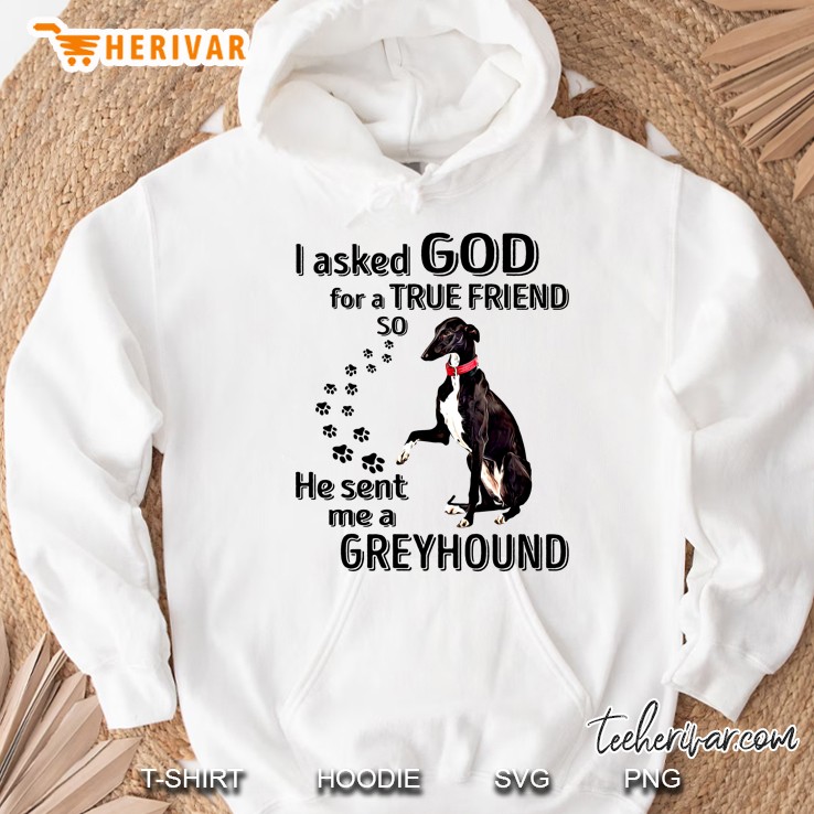 I Asked God For A True Friend So He Sent Me A Greyhound Hoodie