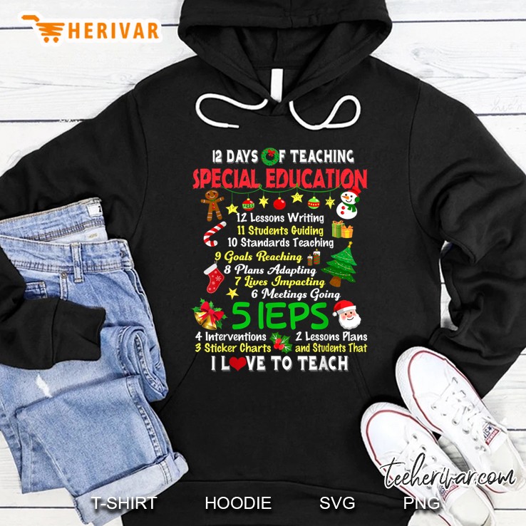 12 Days Of Teaching Special Education Christmas Hoodie