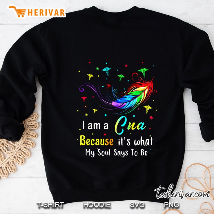 I Am A CNA Because It’s What My Soul Says To Be Colorful Feather Front Version Sweatshirt