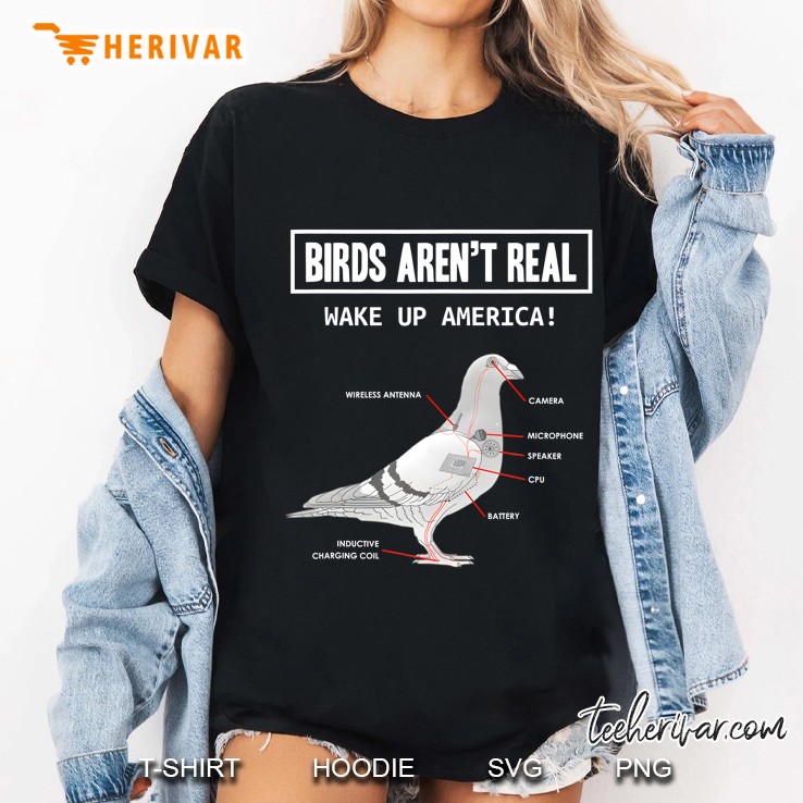 Birds Aren
