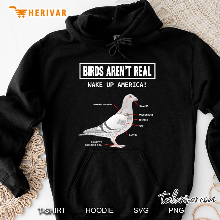 Birds Aren