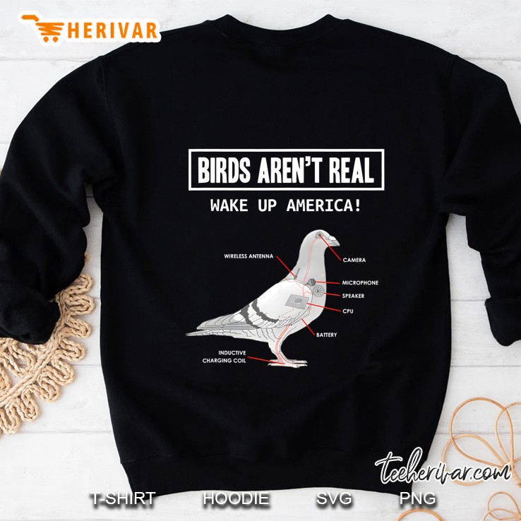 Birds Aren