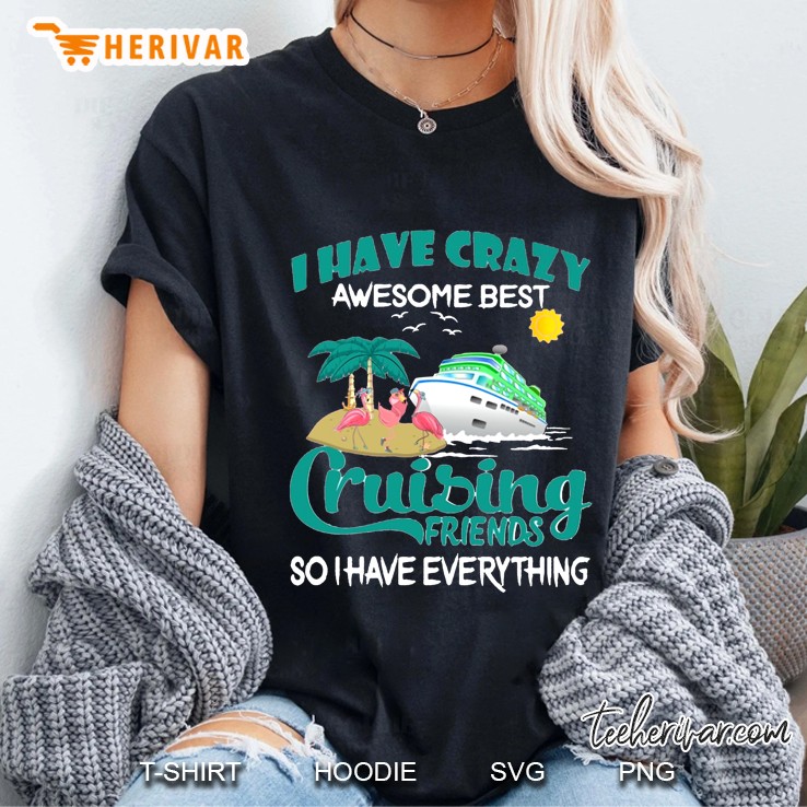 I Have Crazy Awesome Best Cruising Friends So I Have Everything Version2 Ladies Tee