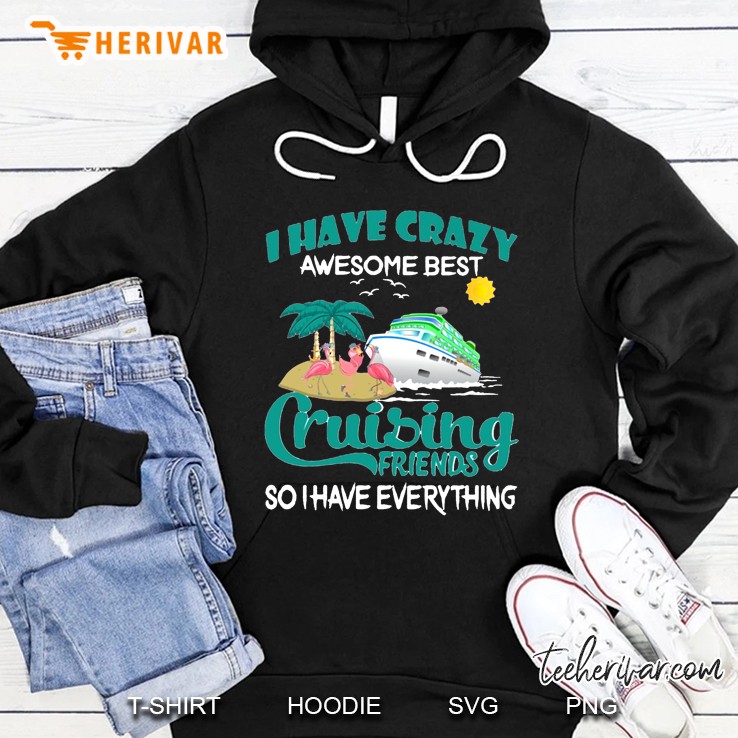 I Have Crazy Awesome Best Cruising Friends So I Have Everything Version2 Hoodie