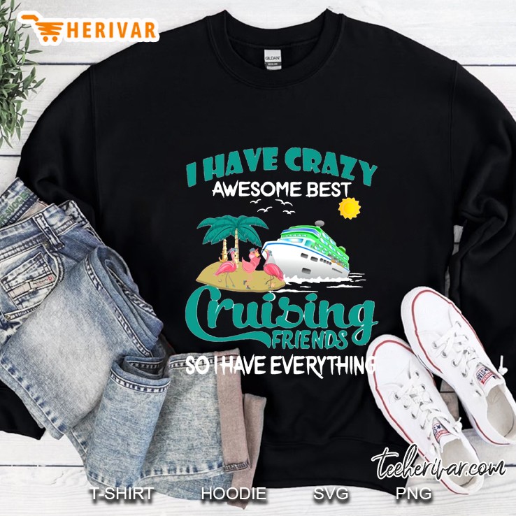 I Have Crazy Awesome Best Cruising Friends So I Have Everything Version2 Sweatshirt