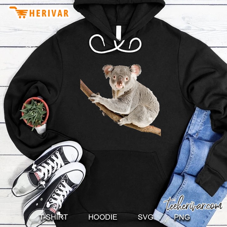 Koala Bears Hoodie