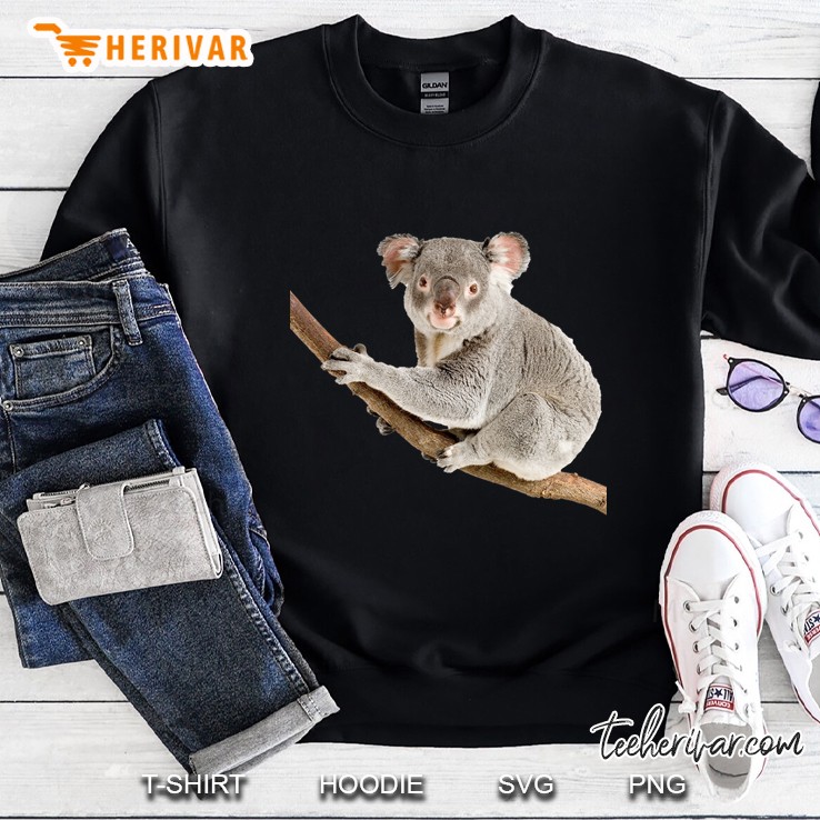 Koala Bears Sweatshirt