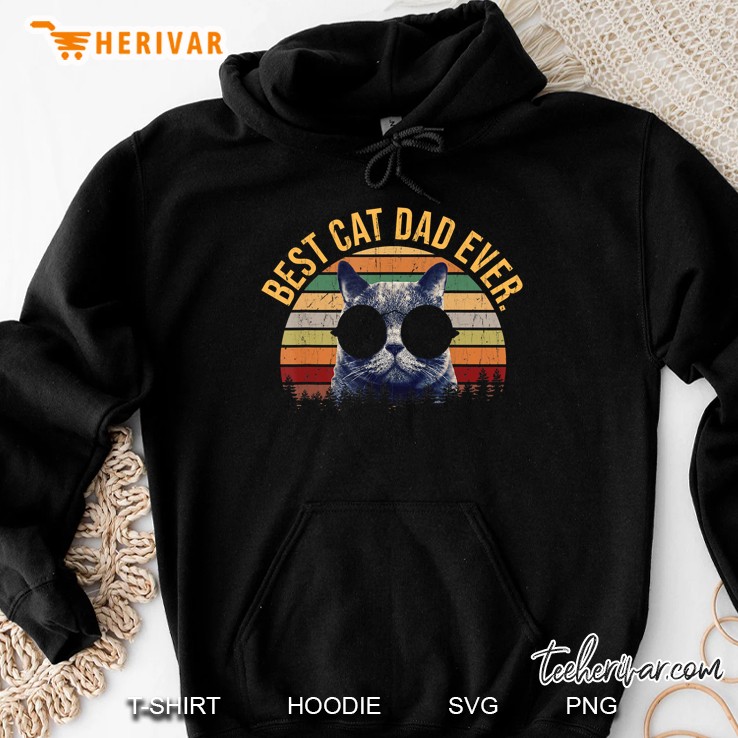 Best Cat Dad Ever Cool Cats Lovers Daddy Fathers Day Gifts Hoodie
