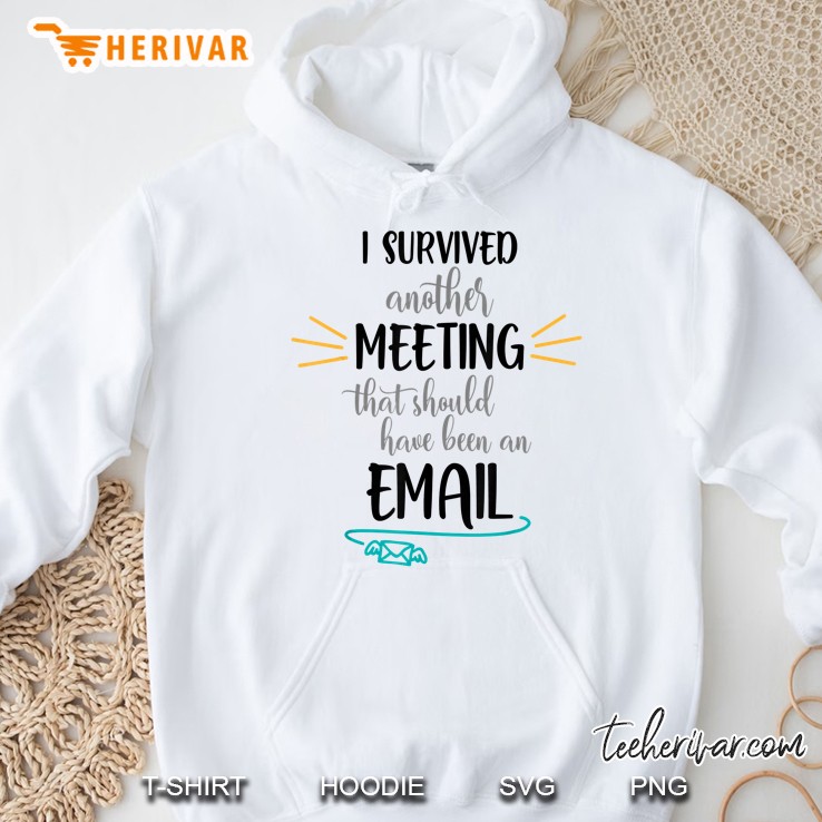 I Survived Another Meeting That Should Have Been An Email Hoodie