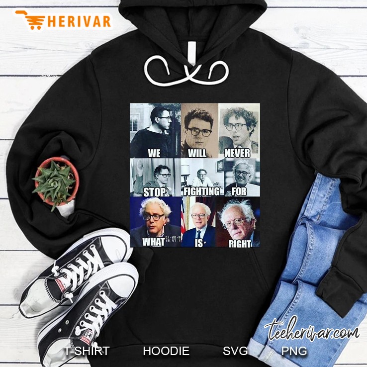We Will Never Stop Fighting For What Is Right Bernie Version Hoodie