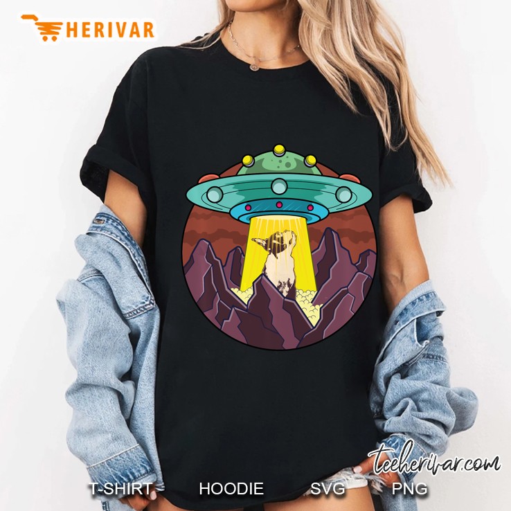 Boston Terrier Unidentified Flying Object Ladies Tee