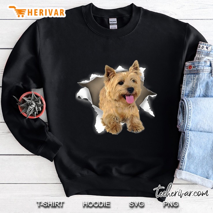 Cairn Terrier Dog Inside Torn Hole Sweatshirt