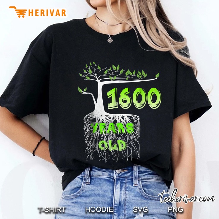 Square Root Of 1600 Years Old Tree Version Ladies Tee
