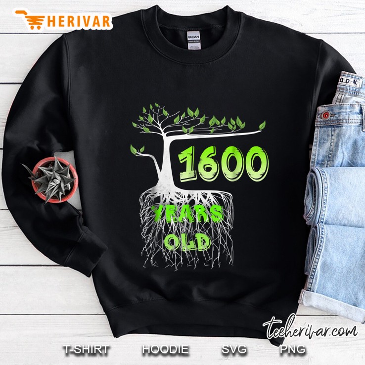 Square Root Of 1600 Years Old Tree Version Sweatshirt