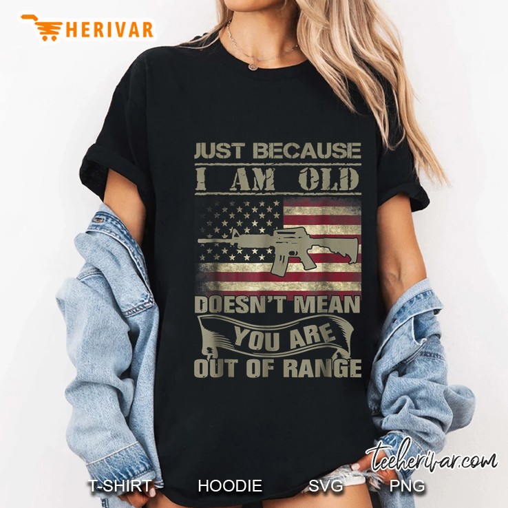 Just Because I'm Old Doesn't Mean You're Out Of Range Gun American Flag Version Hoodie