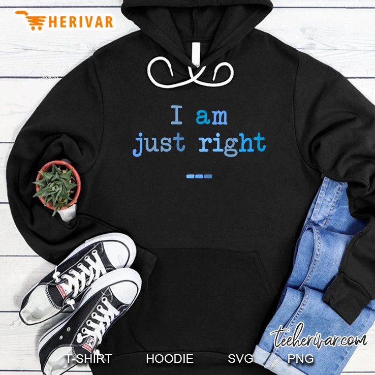 State Of Mind Series I Am Just Right Hoodie