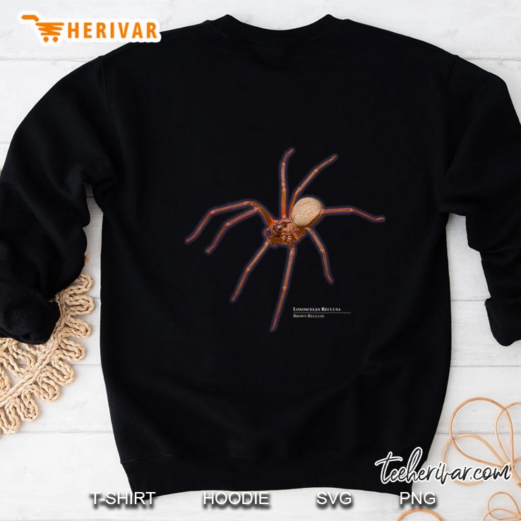 Brown Recluse Spider Loxosceles Reclusa Sweatshirt