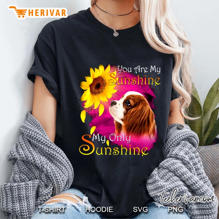 You Are My Sunshine My Only Sunshine Cocker Spaniel Version Ladies Tee