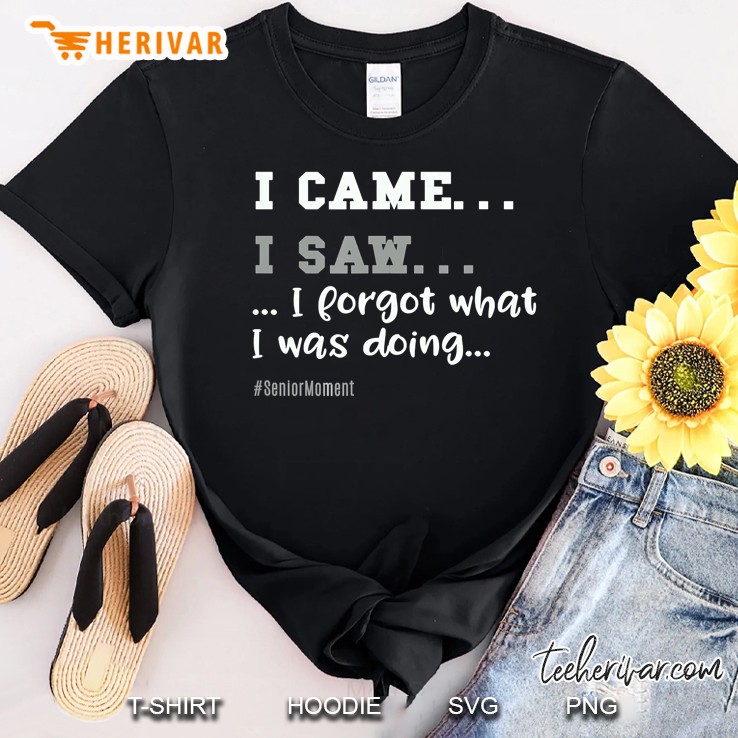 I Came, I Saw, I Forgot For Seniors - Great Gag Gift Shirt