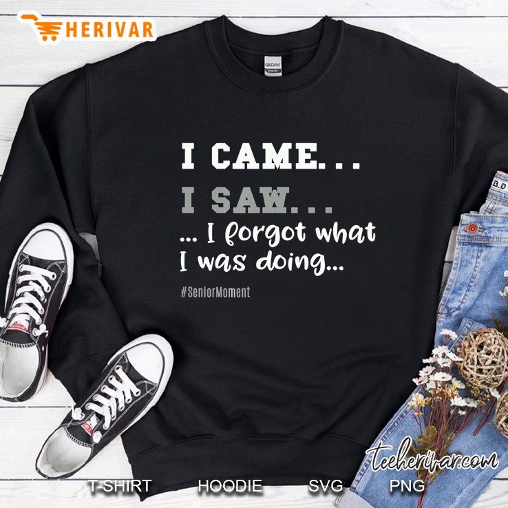 I Came I Saw I Forgot What I Was Doing SeniorMoment Sweatshirt