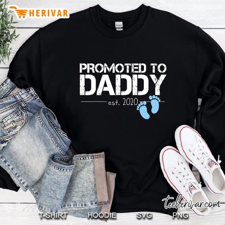 Promoted To Daddy Est 2020 Sweatshirt