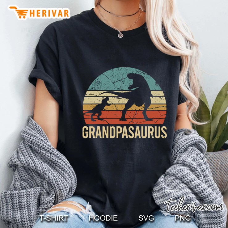 Grandpasaurus Dinosaurs Silhouette Version Ladies Tee