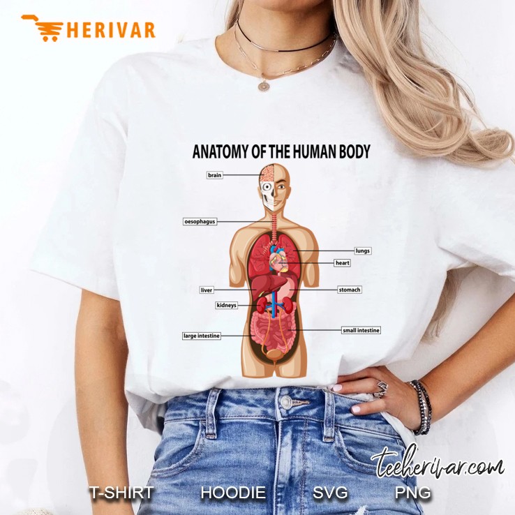 anatomy of the human body Ladies Tee