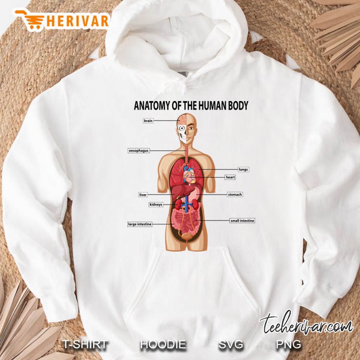 anatomy of the human body Hoodie