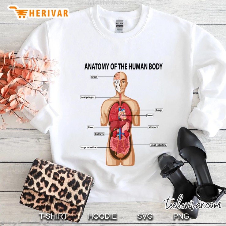anatomy of the human body Sweatshirt