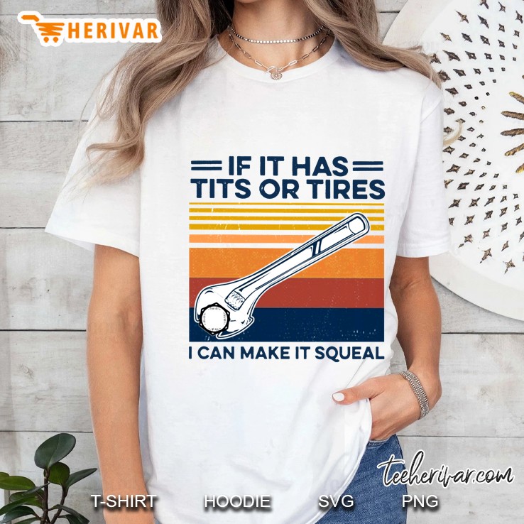 If It Has Tits Or Tires I Can Make It Squeal Vintage Version Ladies Tee