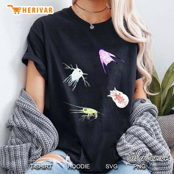 Wanderers Ladies Tee