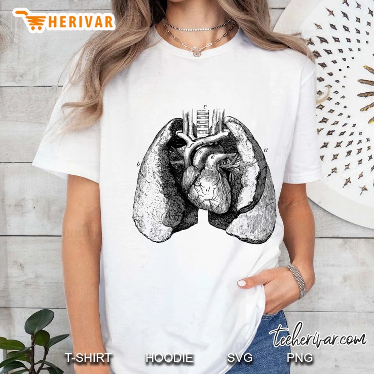 Human Heart Lungs Anatomy Vintage Medical Anatomical Heart Premium Ladies Tee
