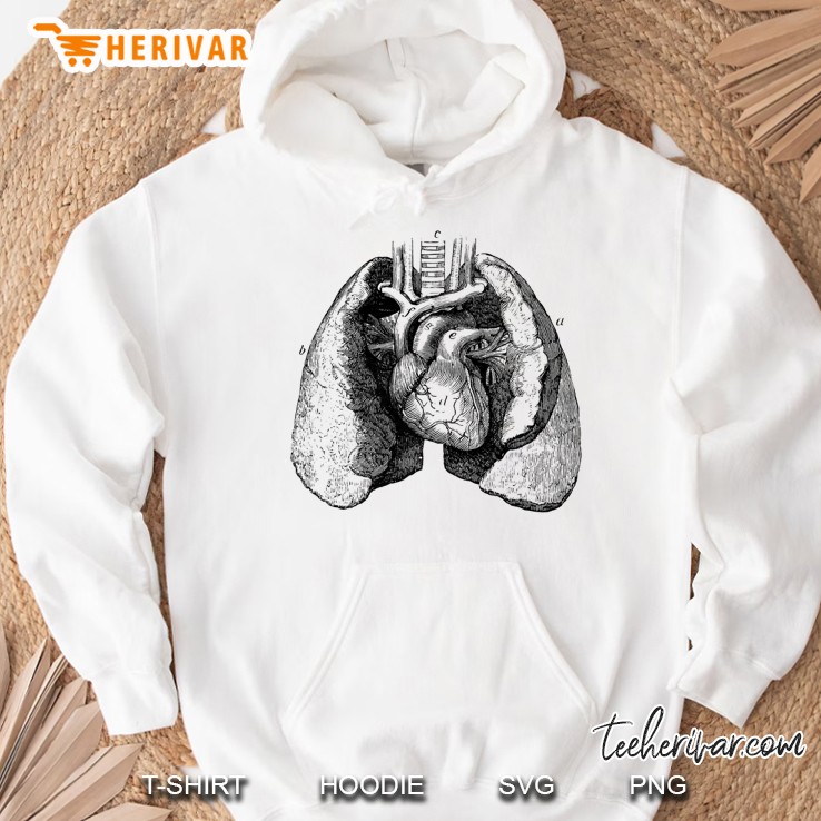 Human Heart Lungs Anatomy Vintage Medical Anatomical Heart Premium Hoodie