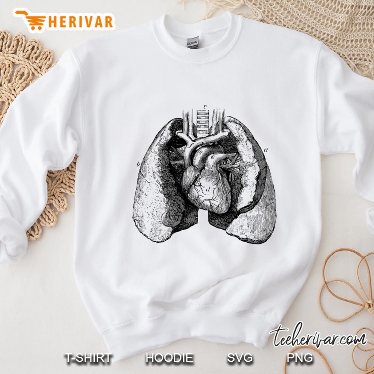 Human Heart Lungs Anatomy Vintage Medical Anatomical Heart Premium Sweatshirt