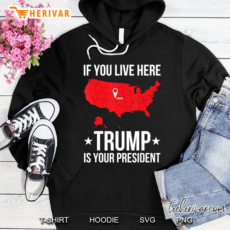 Reelect Trump 2020 My President Cool Pro Republicans Gift Hoodie