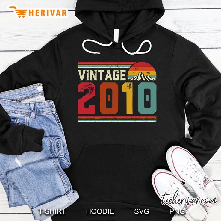 2010 Vintage Birthday Gift Retro Style Hoodie