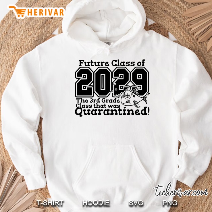 Future Class Of 2029 The 3Rd Grade Class That Was Quarantined Hoodie